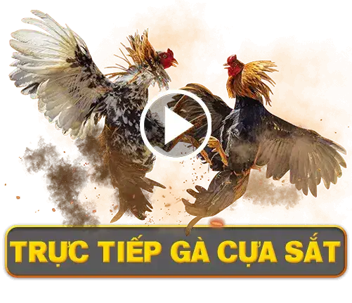 tructiepgacuasat Đá gà 388